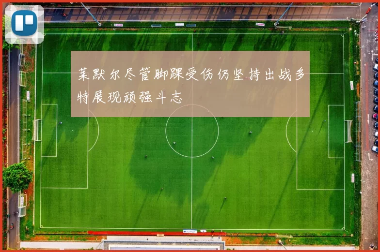 莱默尔尽管脚踝受伤仍坚持出战多特展现顽强斗志